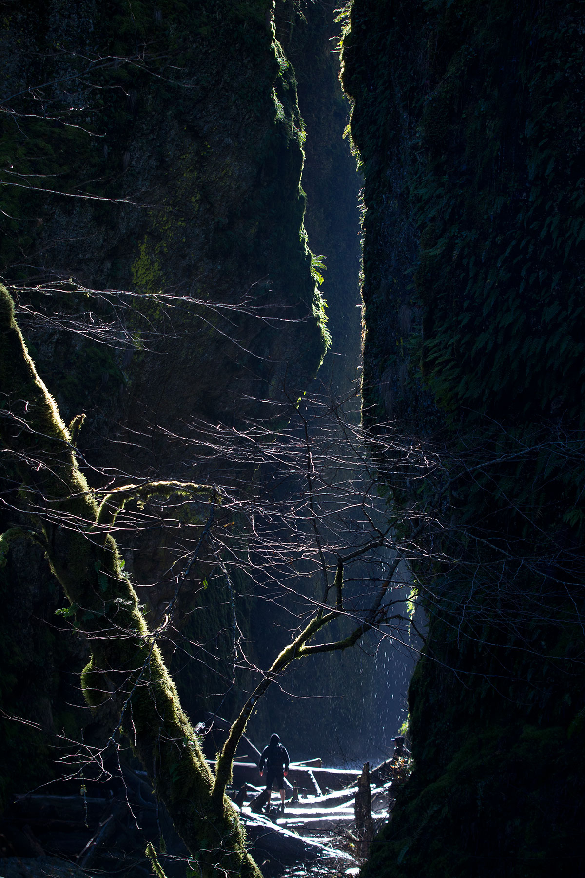 The Light That's Breaking