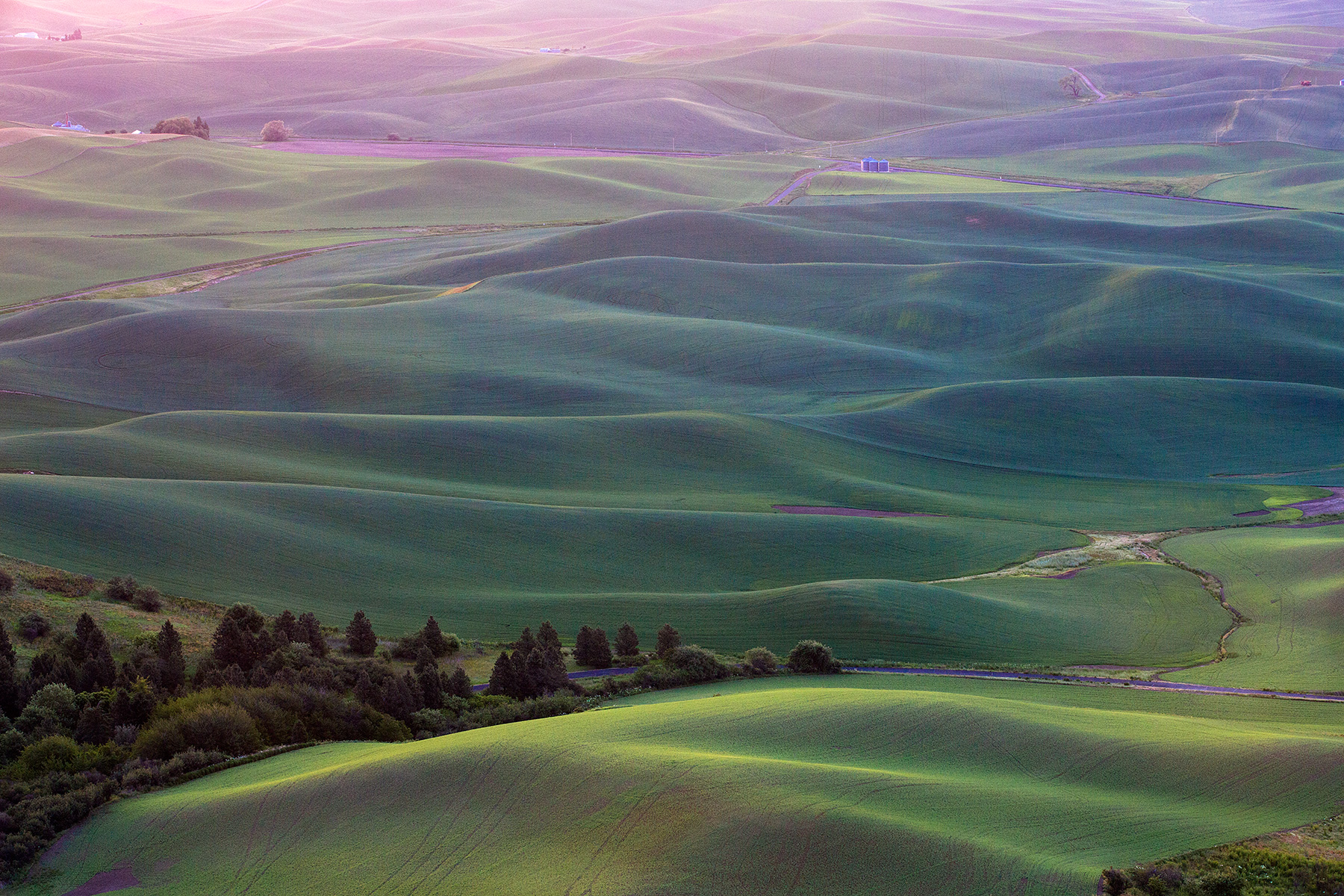 PalouseFields2_gallery