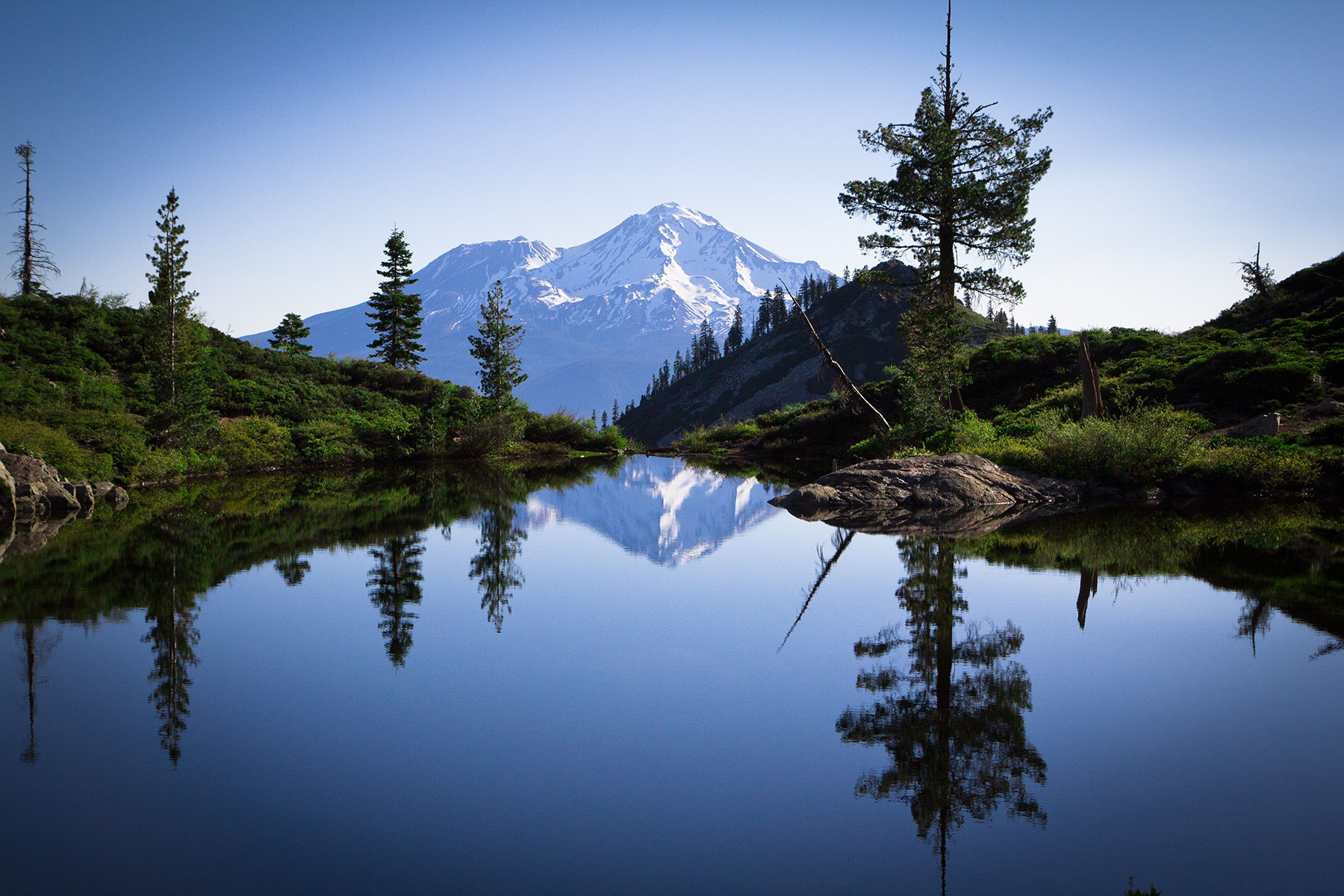 Reflections of the Landscape