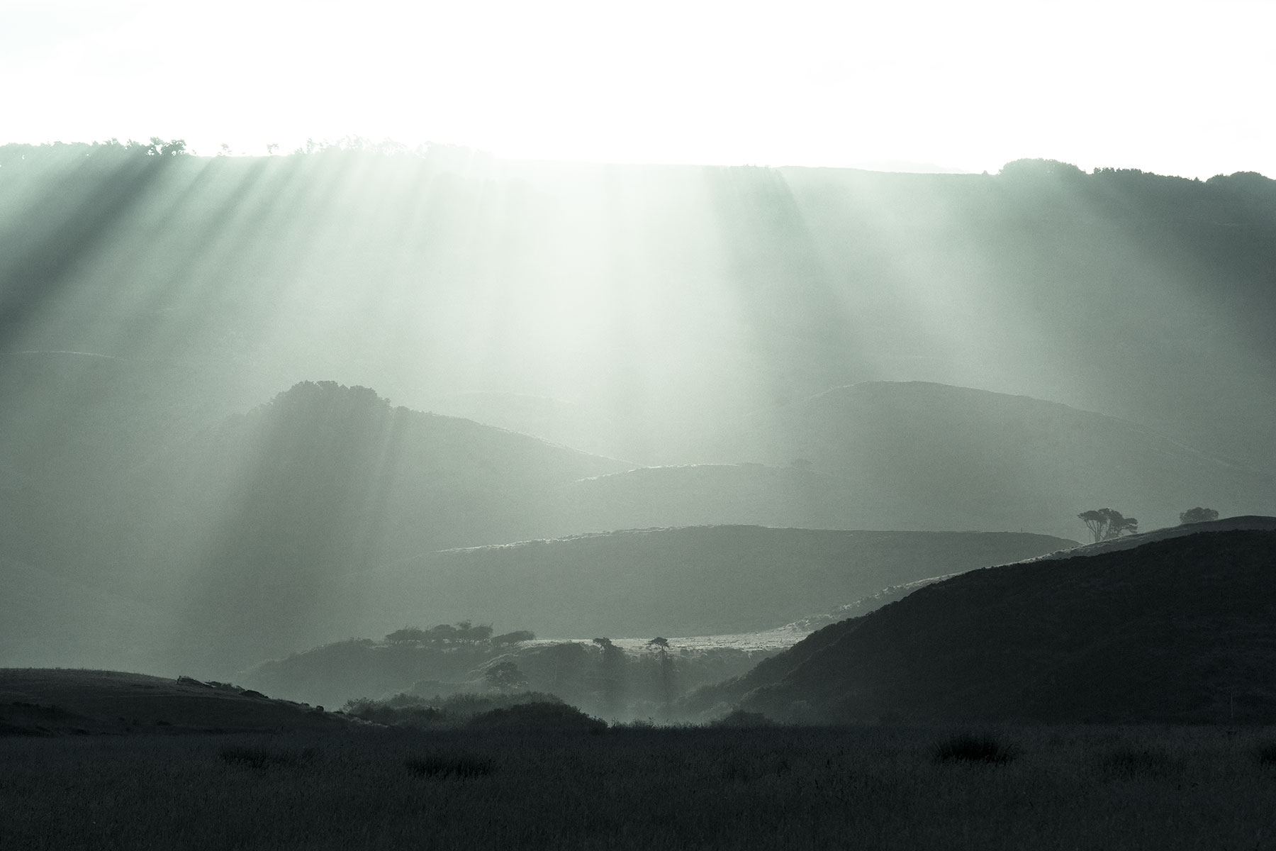 Sun Again Will Shine