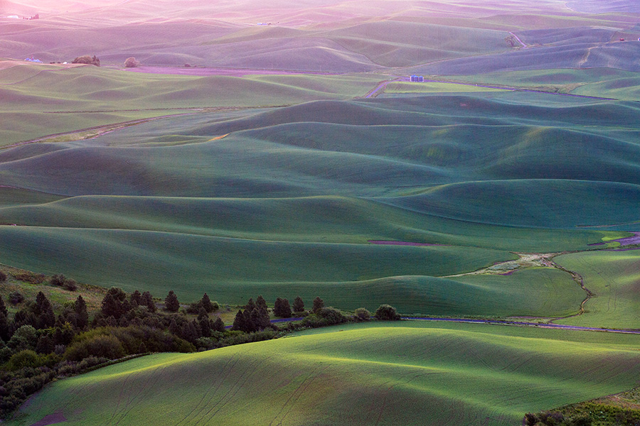 PalouseFields2_Ver1b_small