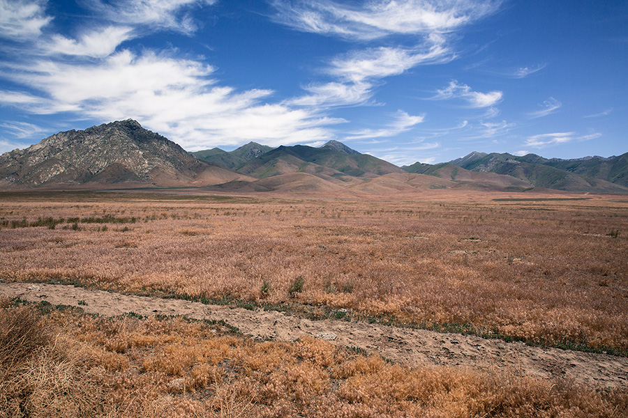 Highway95_Ver1b